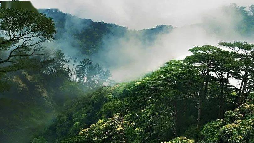 小艾比模仿秀